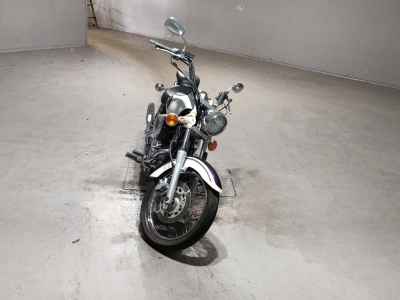 Yamaha XVS250 Drag Star