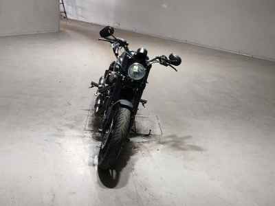 Harley-Davidson Roadster XL1200CX 2017