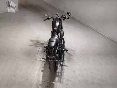 Harley-Davidson Roadster XL1200CX 2017