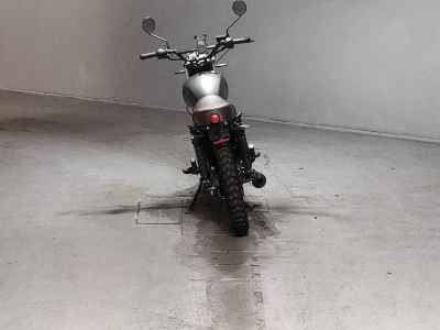 Mutt Hilts 250 2022