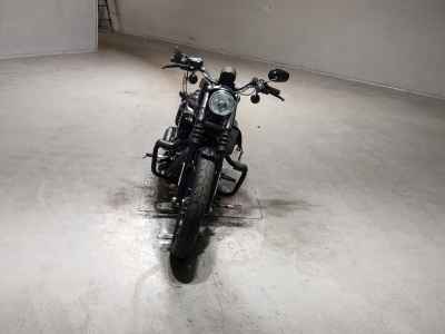 Harley-Davidson Sportster Iron XL883N 2021