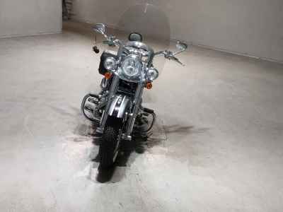 Harley-Davidson Deluxe FLSTNSE1800 CVO 2015
