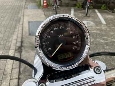 Harley-Davidson Sportster XL1200L 2010