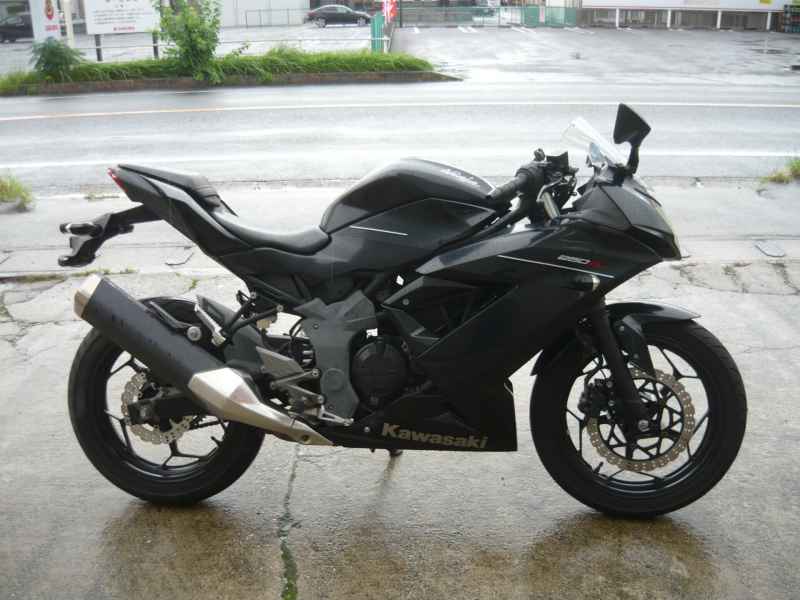 Kawasaki Ninja 250