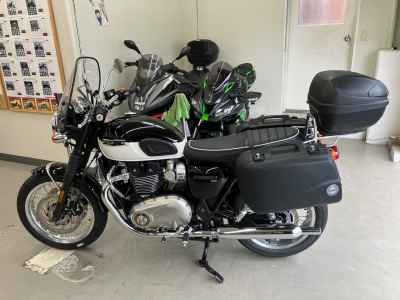 Triumph Bonneville T120 2024