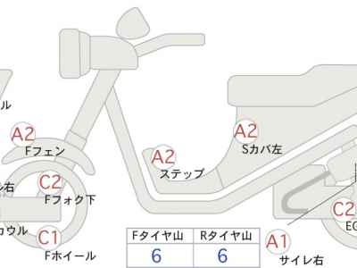 Suzuki Gemma 250