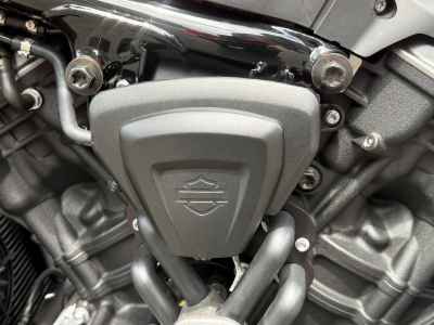 Harley-Davidson Nightster RH975 2023