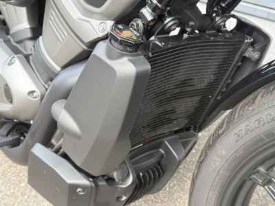 Harley-Davidson Nightster RH975 2023
