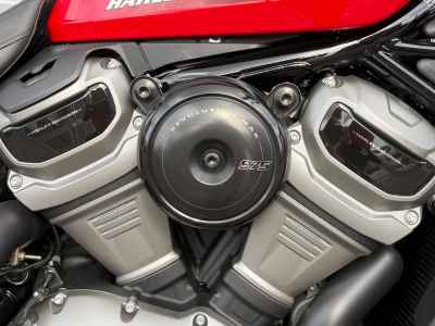Harley-Davidson Nightster RH975 2023