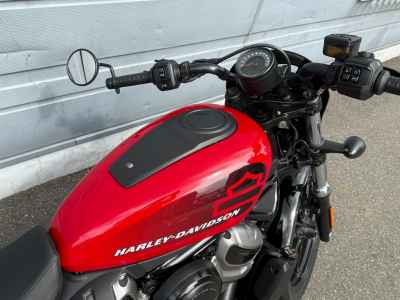 Harley-Davidson Nightster RH975 2023