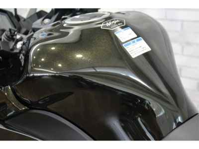 Kawasaki Ninja 1100SX 2026