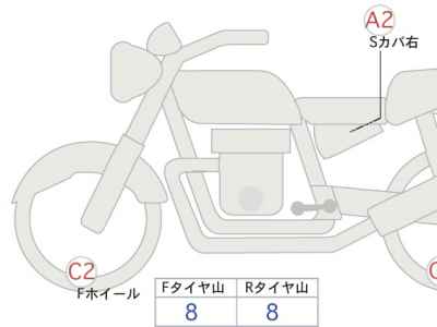Kawasaki W800 2025