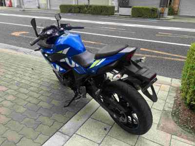 Suzuki GSX250R