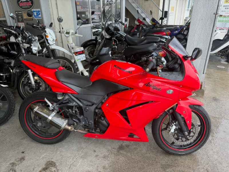Kawasaki Ninja 250R