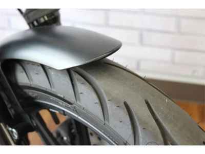 Harley-Davidson Sportster Iron XL883N 2016