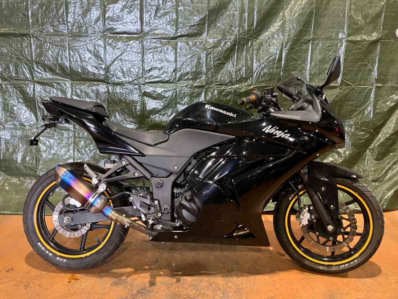 Kawasaki Ninja 250R