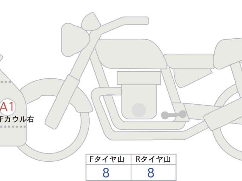 Kawasaki Ninja 1000SX 2021