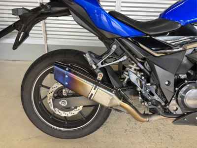Suzuki GSX250R