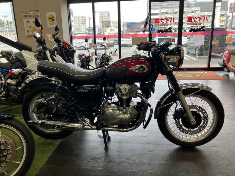 Kawasaki W800 2024