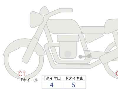Kawasaki W800 2024