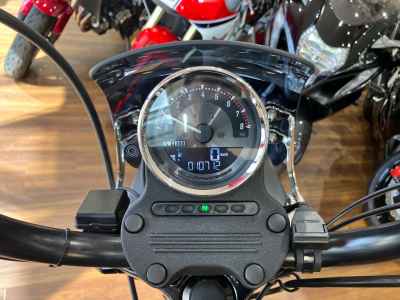 Harley-Davidson Sportster Iron XL883N 2016
