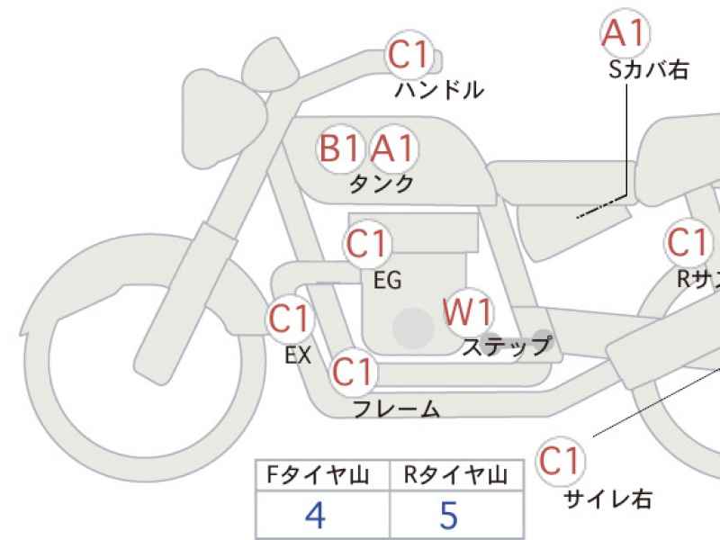 Kawasaki W800 2020
