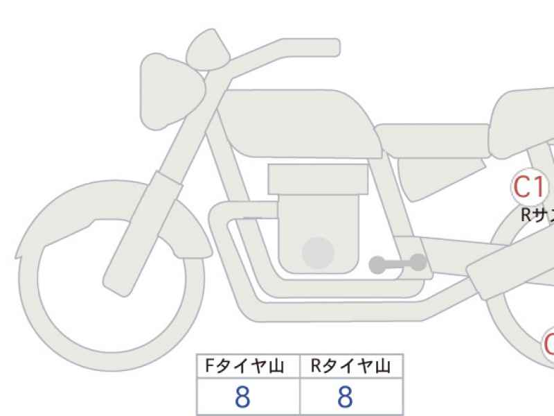 Kawasaki W800 2026