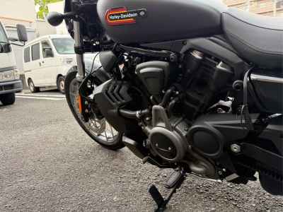 Harley-Davidson Nightster RH975S 2024