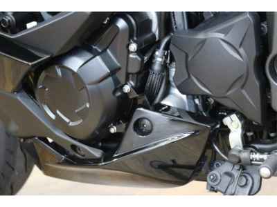 Kawasaki Ninja 1100SX 2026