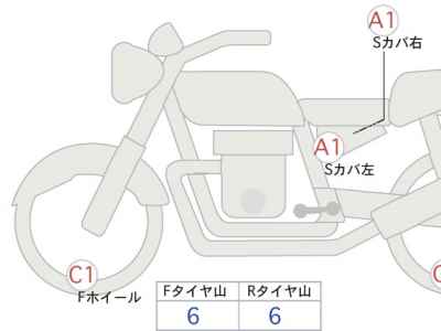 Kawasaki W800 2025