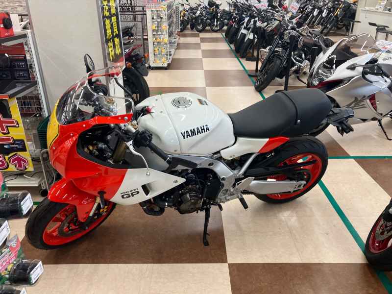Yamaha XSR900 GP 2024