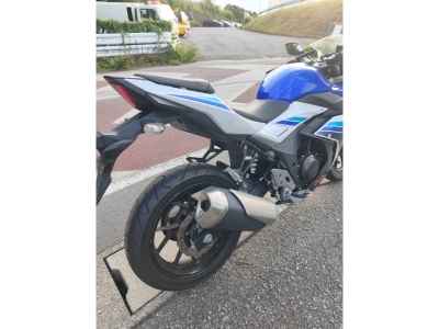 Suzuki GSX250R