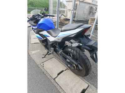 Suzuki GSX250R