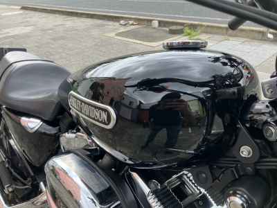 Harley-Davidson Sportster XL1200L 2010