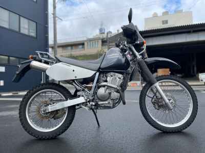 Suzuki Djebel 250XC