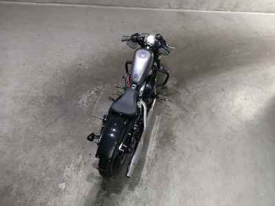 Harley-Davidson Sportster Forty-Eight XL1200X 2015