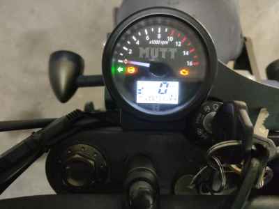 Mutt Hilts 250 2021