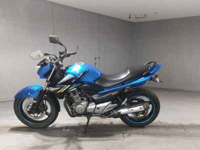 Suzuki GSR250