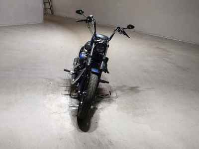 Harley-Davidson Sportster Iron XL883N 2020