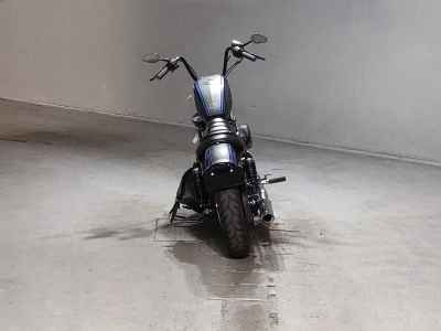 Harley-Davidson Sportster Iron XL883N 2020
