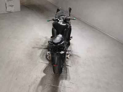 Kawasaki Ninja 1000 2017