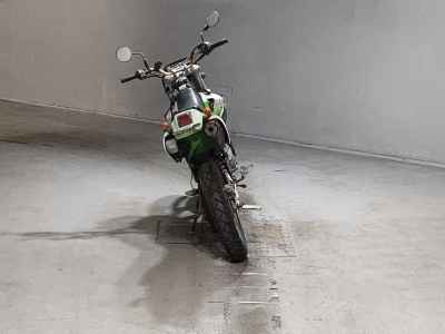 Kawasaki KLX250