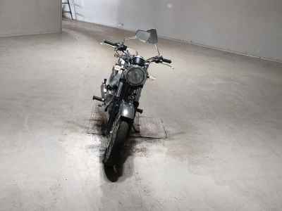 Kawasaki Estrella RS