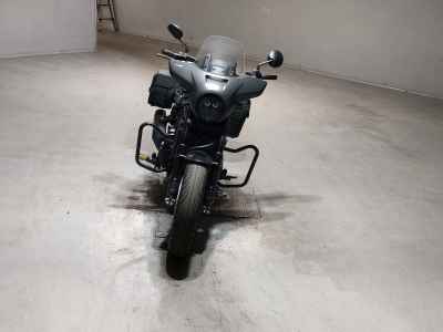Honda Rebel CMX250 2023
