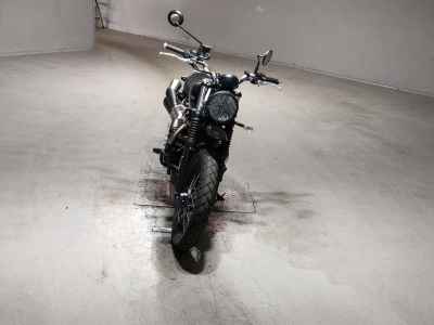 Triumph Scrambler 900 2025