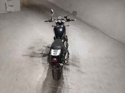 Triumph Scrambler 900 2025