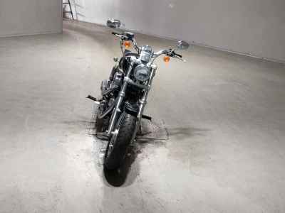 Harley-Davidson Sportster Custom XL1200C 2015