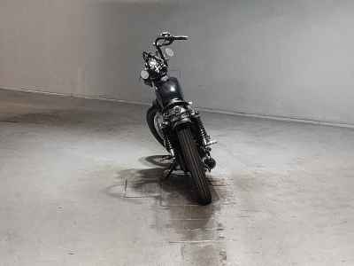 Kawasaki 250TR