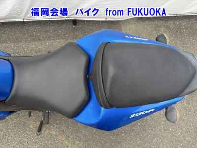 Kawasaki Ninja 250R