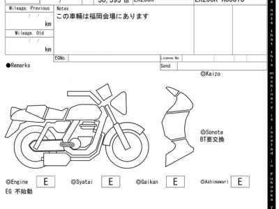 Kawasaki Ninja 250R